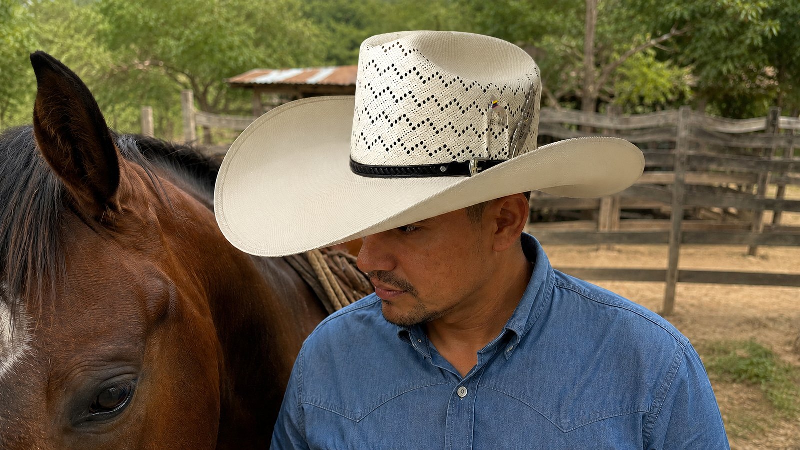 Diseños exclusivos Sombreros Montana